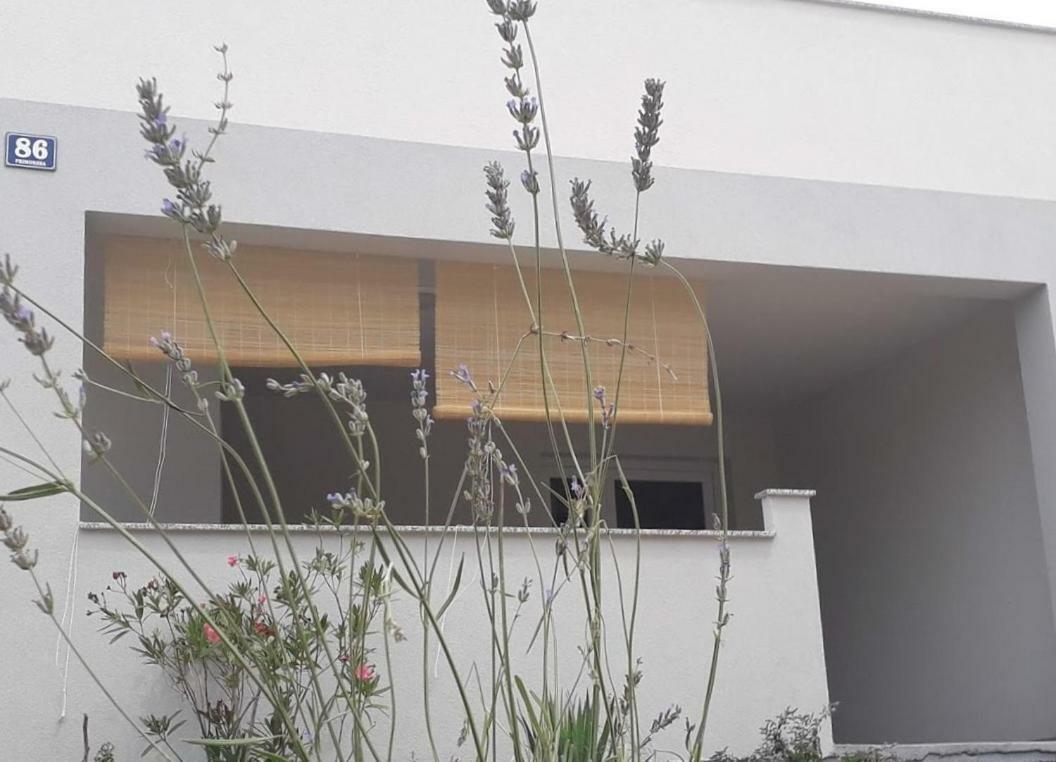 Luciana Apartment Povljana Exterior foto
